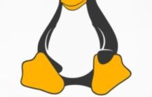 linux网卡识别顺序的绑定方法