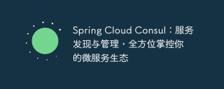 spring cloud consul：服务发现与管理，全方位掌控你的微服务生态