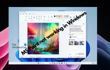 MS Paint在Windows 11中无法正常工作