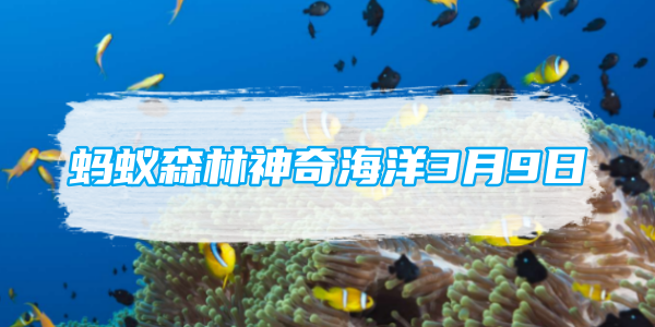 蚂蚁森林神奇海洋3月9日：狮鬃水母之所以得名是因为