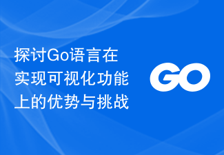 探讨Go语言在实现可视化功能上的优势与挑战