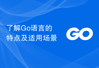 了解Go语言的特点及适用场景
