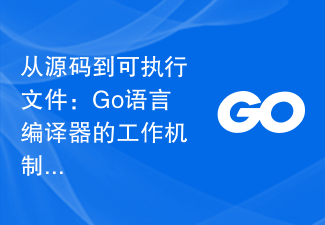 Vom Quellcode zur ausführbaren Datei: Analyse des Arbeitsmechanismus des Go-Sprachcompilers