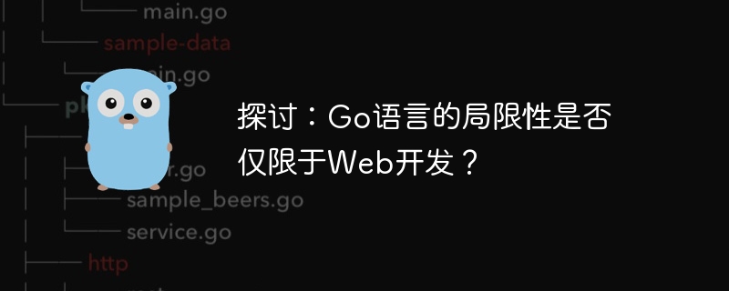 토론: Go 언어의 한계는 웹 개발에만 국한됩니까?