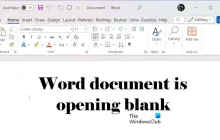Word文档在Windows 11/10上打开时为空白