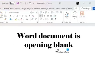Dokumen Word kosong apabila dibuka pada Windows 11/10