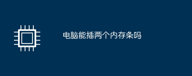 컴퓨터에 메모리 스틱 2개를 삽입할 수 있나요?