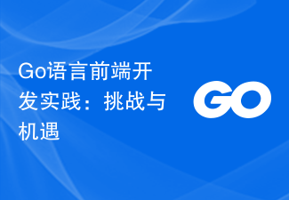 Go 言語のフロントエンド開発の実践: 課題と機会