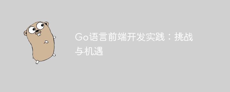 Go语言前端开发实践：挑战与机遇-Golang-