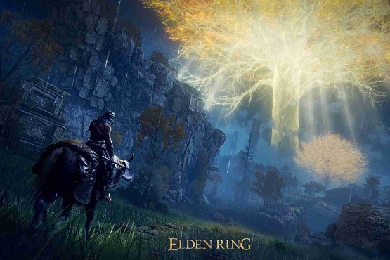 Will Eldens Ring of Magic SL be banned?