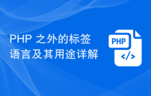 PHP 之外的标签语言及其用途详解