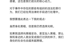新车被恶意P图，李想：存在有组织的违法犯罪行为