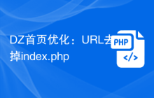 DZ首页优化：URL去掉index.php