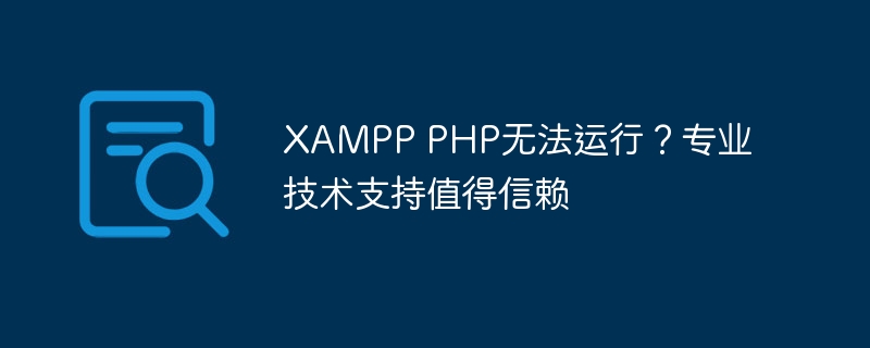 xampp php无法运行？专业技术支持值得信赖