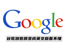 谷歌浏览器变成英文版看不懂怎么办？谷歌浏览器英文版改为中文版
