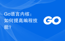 Go语言内核：如何提高编程技能？