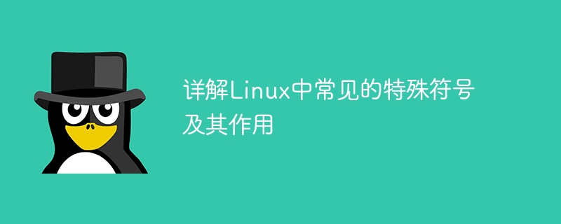 詳解Linux中常見的特殊符號及其作用