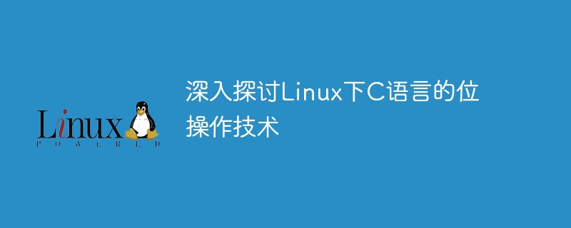 Perbincangan mendalam tentang teknologi manipulasi bit dalam bahasa C di bawah Linux