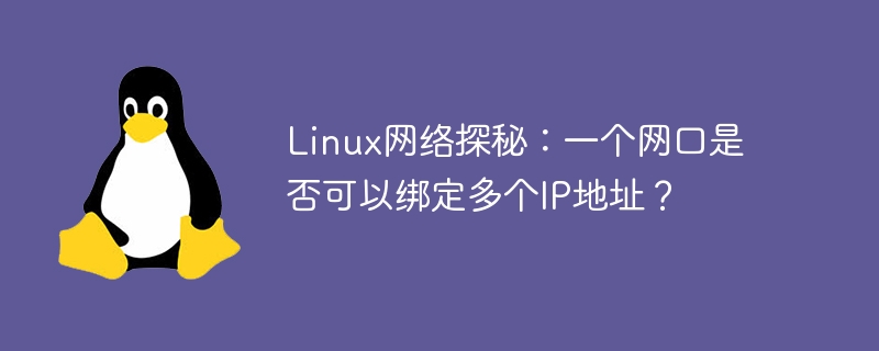 Linux 네트워크 탐색: 하나의 네트워크 포트를 여러 IP 주소에 바인딩할 수 있습니까?