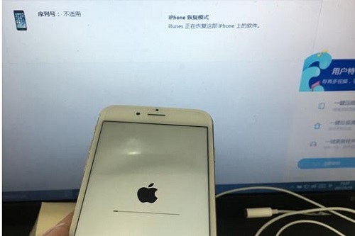 iPhone 6 の電源が入らない場合はどうすればよいですか?