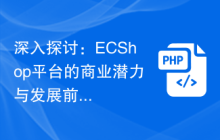 深入探讨:ECShop平台的商业潜力与发展前景