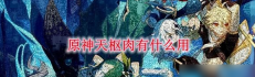 原神天枢肉有什么用 天枢肉使用效果介绍