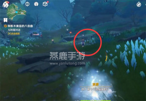 原神镜花听世愿望任务接取位置