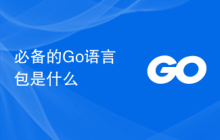 必备的Go语言包是什么