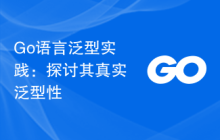 Go语言泛型实践:探讨其真实泛型性
