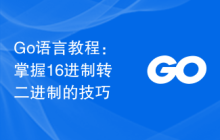Go语言教程:掌握16进制转二进制的技巧