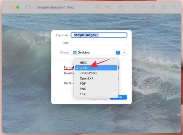 3 façons de convertir des photos HEIC en JPG sur Mac