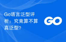 Go语言泛型评析:究竟算不算真泛型?