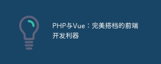 PHP與Vue:完美搭檔的前端開發利器