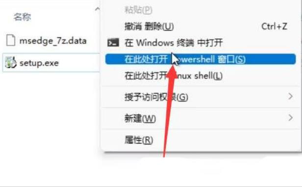 win11自備edge無法卸載怎麼辦？ win11自備edge怎麼徹底刪除方法