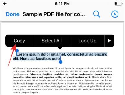 在iPhone上从PDF获取文本的3种方法-苹果手机-