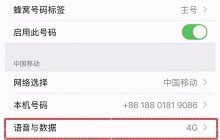 苹果手机5g怎么切换4g