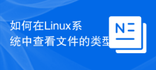 Linux 시스템에서 파일 형식을 확인하는 방법