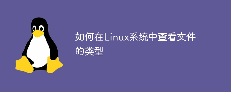如何在Linux系统中查看文件的类型-linux运维-