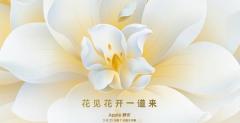 库克或现身上海静安苹果旗舰店开业仪式 果粉别错过
