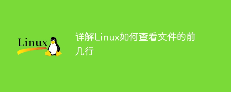 Explication détaillée de la façon dafficher les premières lignes dun fichier sous Linux