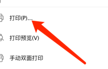 WPS office mac版如何添加打印边框-添加打印边框的方法