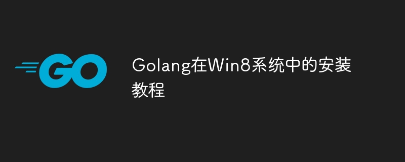 Golang installation tutorial in Win8 system