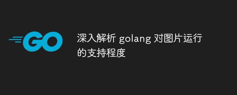 深入解析 golang 对图片运行的支持程度