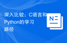 深入比较：C语言和Python的学习路径