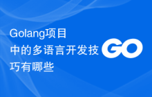 Golang项目中的多语言开发技巧有哪些