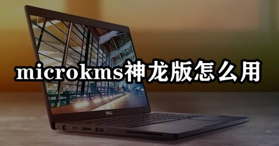 How to use microkms Shenlong Edition - What are the steps to activate microkms Shenlong Edition?