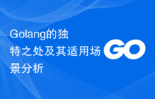 Golang的独特之处及其适用场景分析