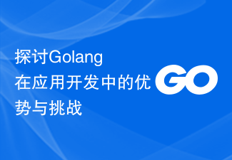 探讨Golang在应用开发中的优势与挑战