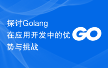 探讨Golang在应用开发中的优势与挑战