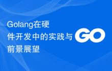 Golang在硬件开发中的实践与前景展望